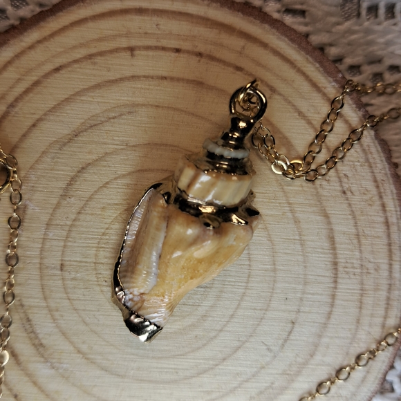 Artisan Gold Plated Conch Shell w/ 14k Goldfilled Necklace - Picture 2 of 8